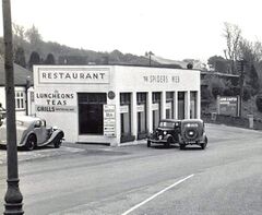 Spider's Web c1950 Sedlescombe Road North
